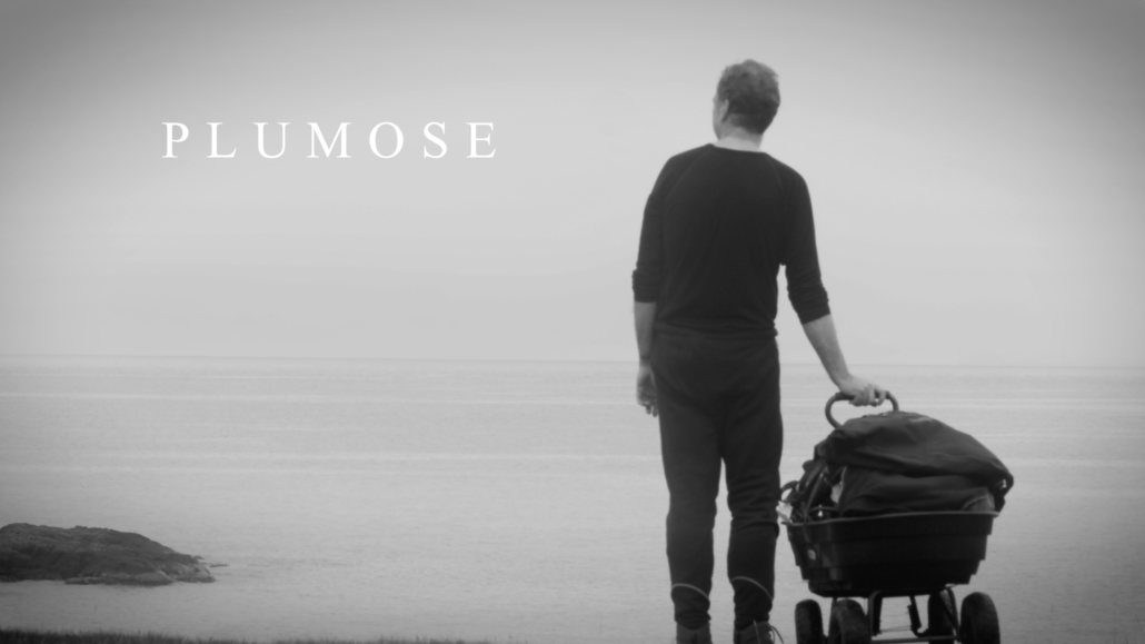 A short film about the search for Plumose Anemones