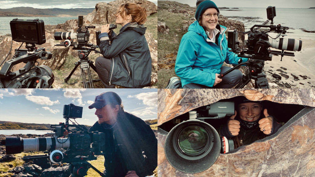 wildlife filmmaking for beginners on the Isle of Mull. Wildlife filmmaker carrer